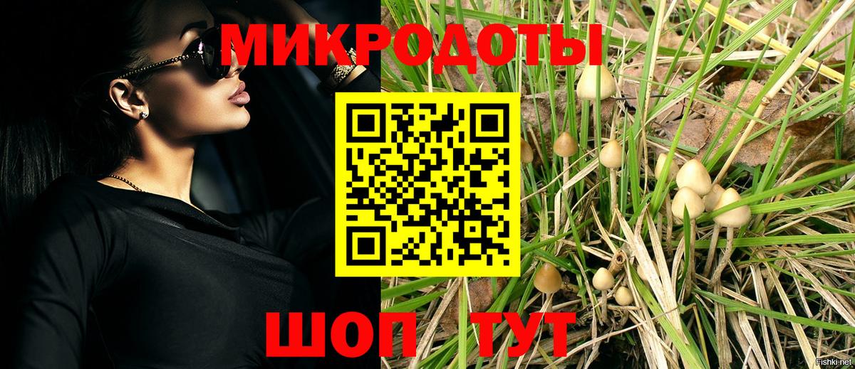 Галлюциногенные грибы Psilocybe  Вход с VPN  Галлюциногенные грибы Cubensis  Шебекино 