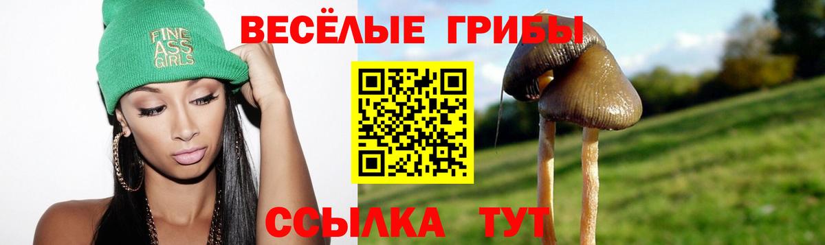 COCAIN  Экстази  Шебекино  Вход с VPN  Меф МЯУ МЯУ кристаллы  A PVP СОЛЬ кристаллы  Меф  ГАШИШ  Каннабис 